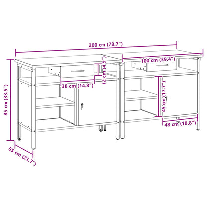 vidaXL Work Bench Set 2 pcs Black Steel