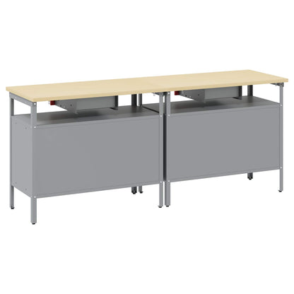 vidaXL Work Bench Set 2 pcs Red Steel