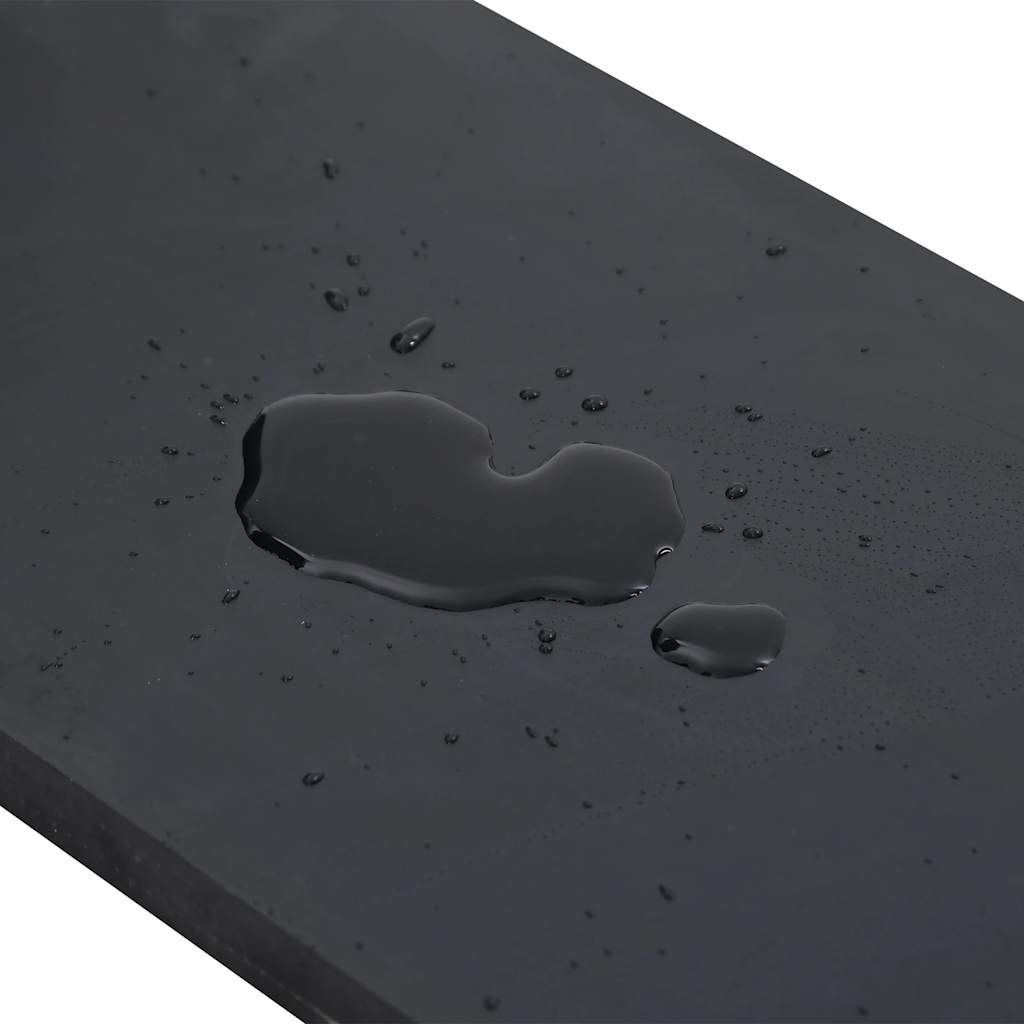 vidaXL Rubber Edge for Snow Plow Black 200x15x1 cm
