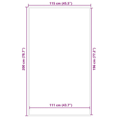 vidaXL Doormat Anthracite 115x200 cm