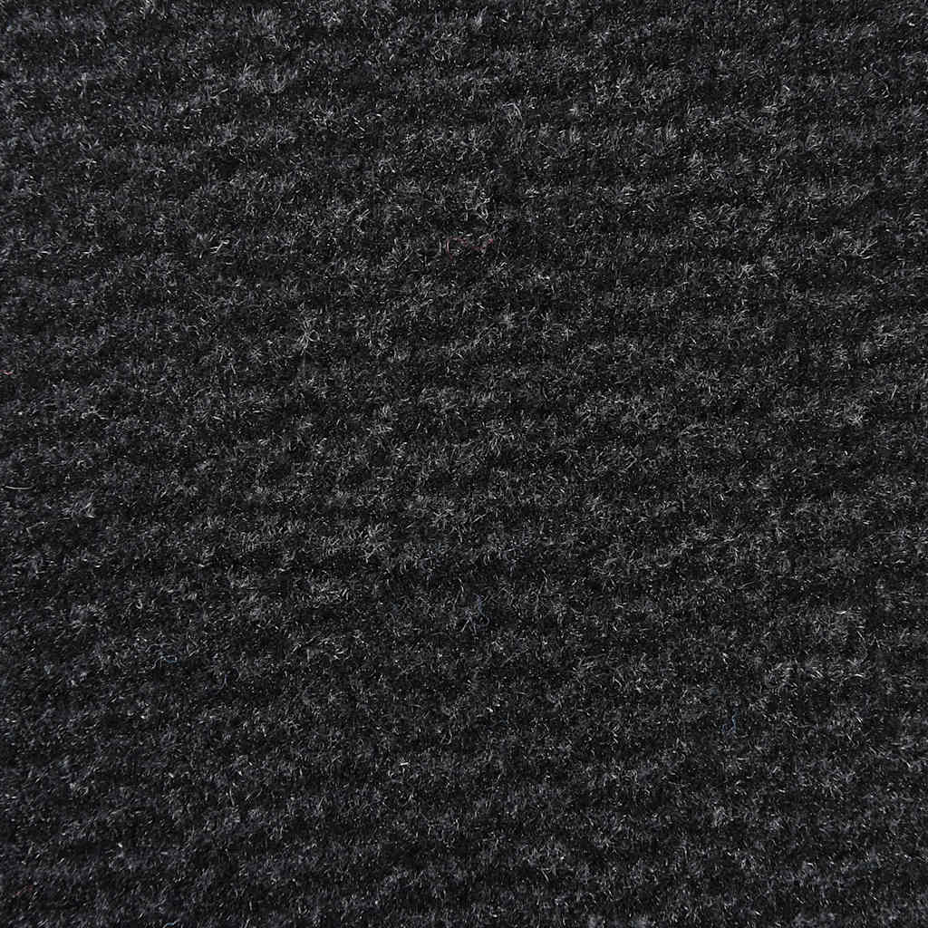 vidaXL Doormat Black 115x200 cm