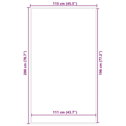 vidaXL Doormat Black 115x200 cm