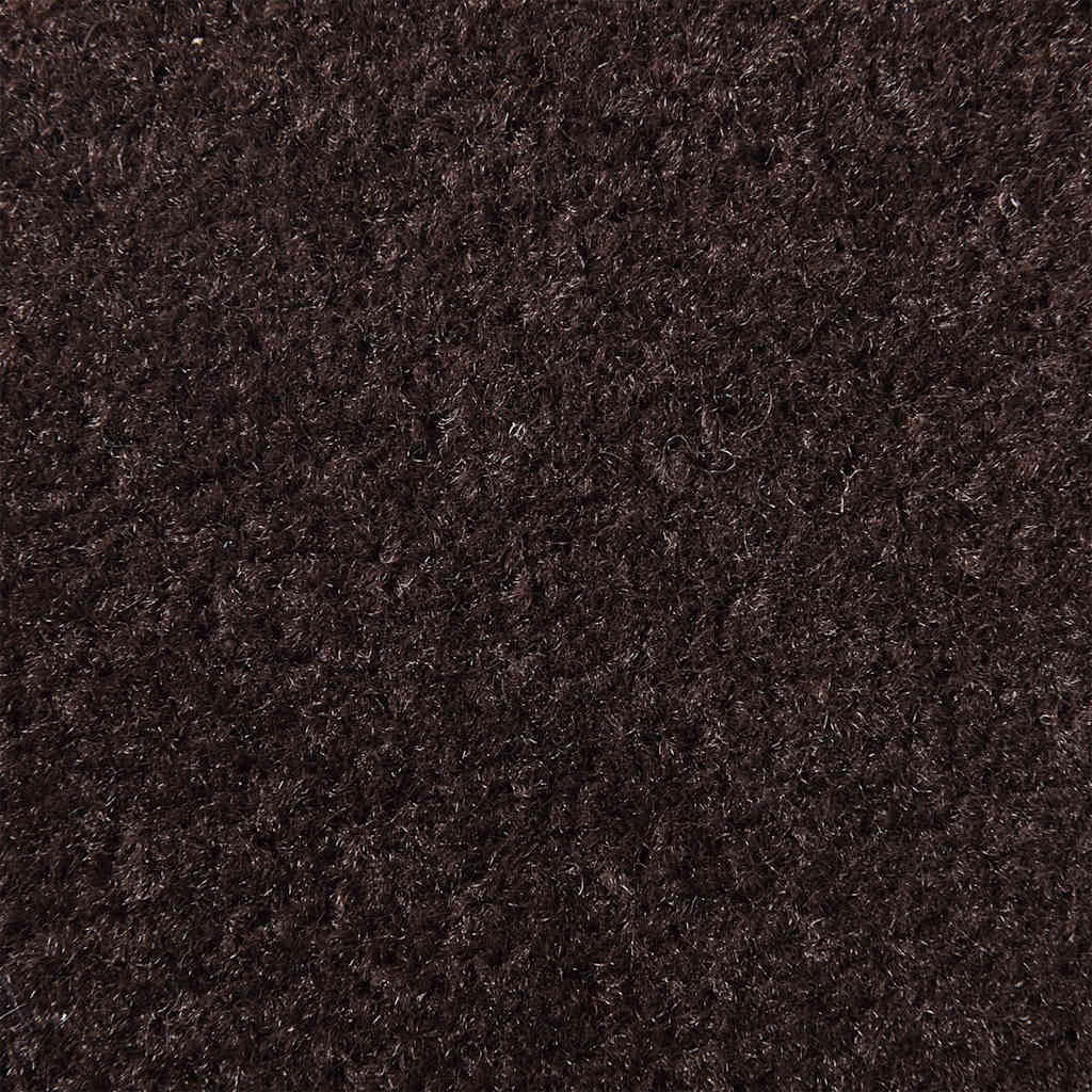 vidaXL Doormat Brown 60x90 cm