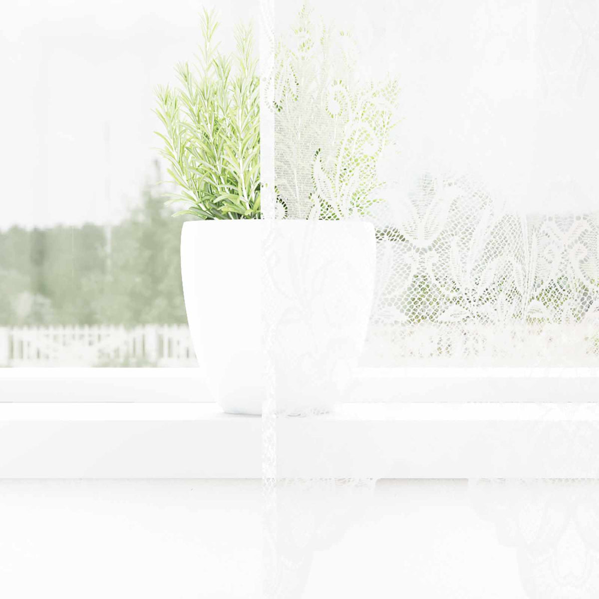 vidaXL Lace Curtain White 120 x 200 cm Polyester