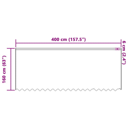 vidaXL Lace Curtain with Curtains Floral White 160 x 400 cm Polyester