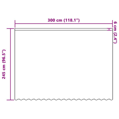 vidaXL Lace Curtain with Curtains White 300 x 245 cm Polyester