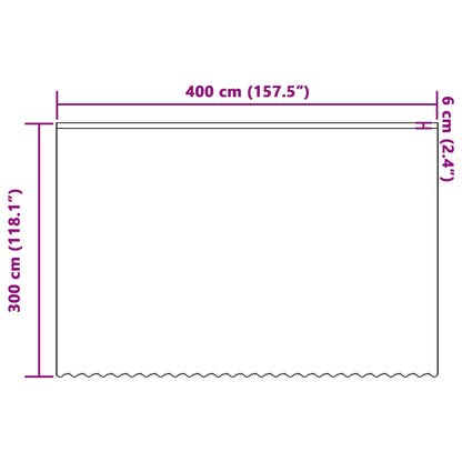 vidaXL Lace Curtain with Curtains White 400 x 300 cm Polyester
