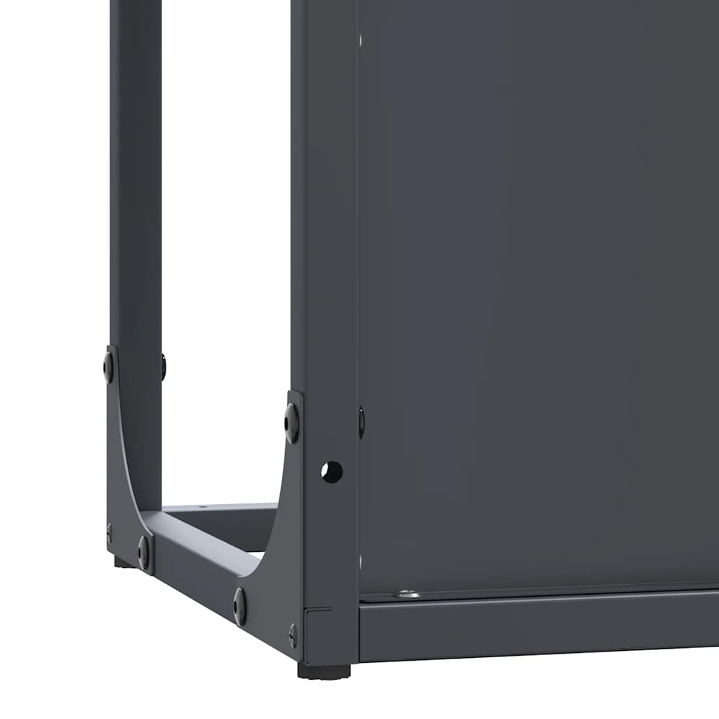 vidaXL Firewood Rack Anthracite 25x25x80 cm Cold-rolled steel
