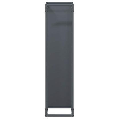 vidaXL Firewood Rack Anthracite 25x25x100 cm Cold-rolled steel