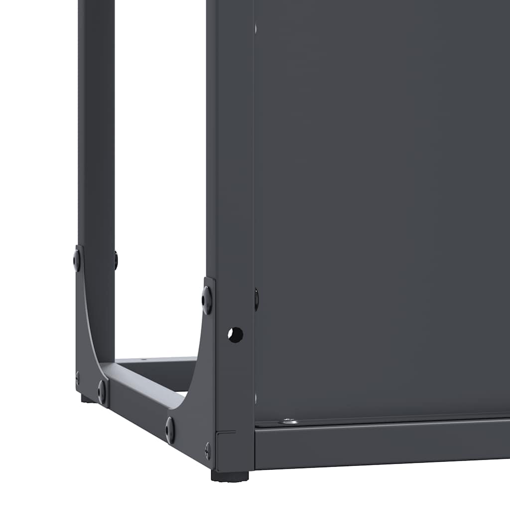 vidaXL Firewood Rack Anthracite 25x25x100 cm Cold-rolled steel
