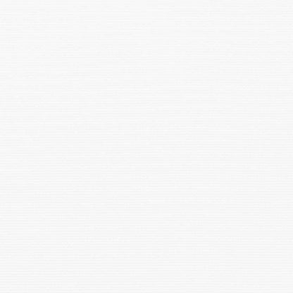 vidaXL Awning Retractable Manual White 300 x 250 x 165 cm Polyester