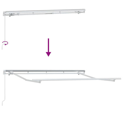 vidaXL Awning Frame Retractable Manual White 3 x 2 m Metal