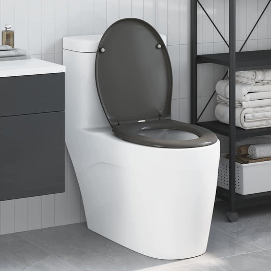 vidaXL Quick Release Toilet suitable for Seat Anthracite