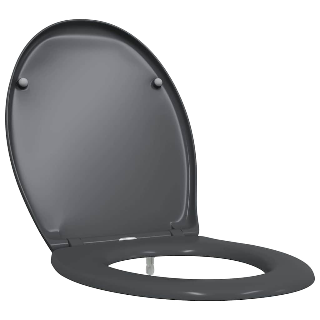 vidaXL Quick Release Toilet suitable for Seat Anthracite