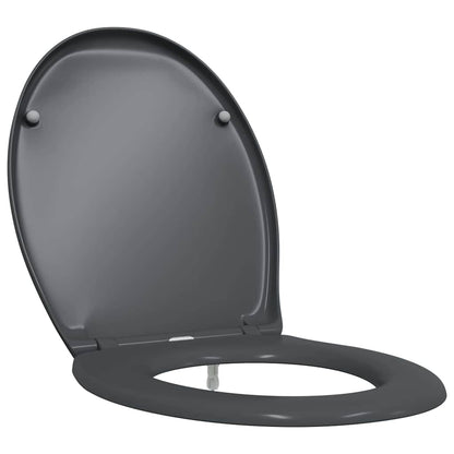 vidaXL Quick Release Toilet suitable for Seat Anthracite
