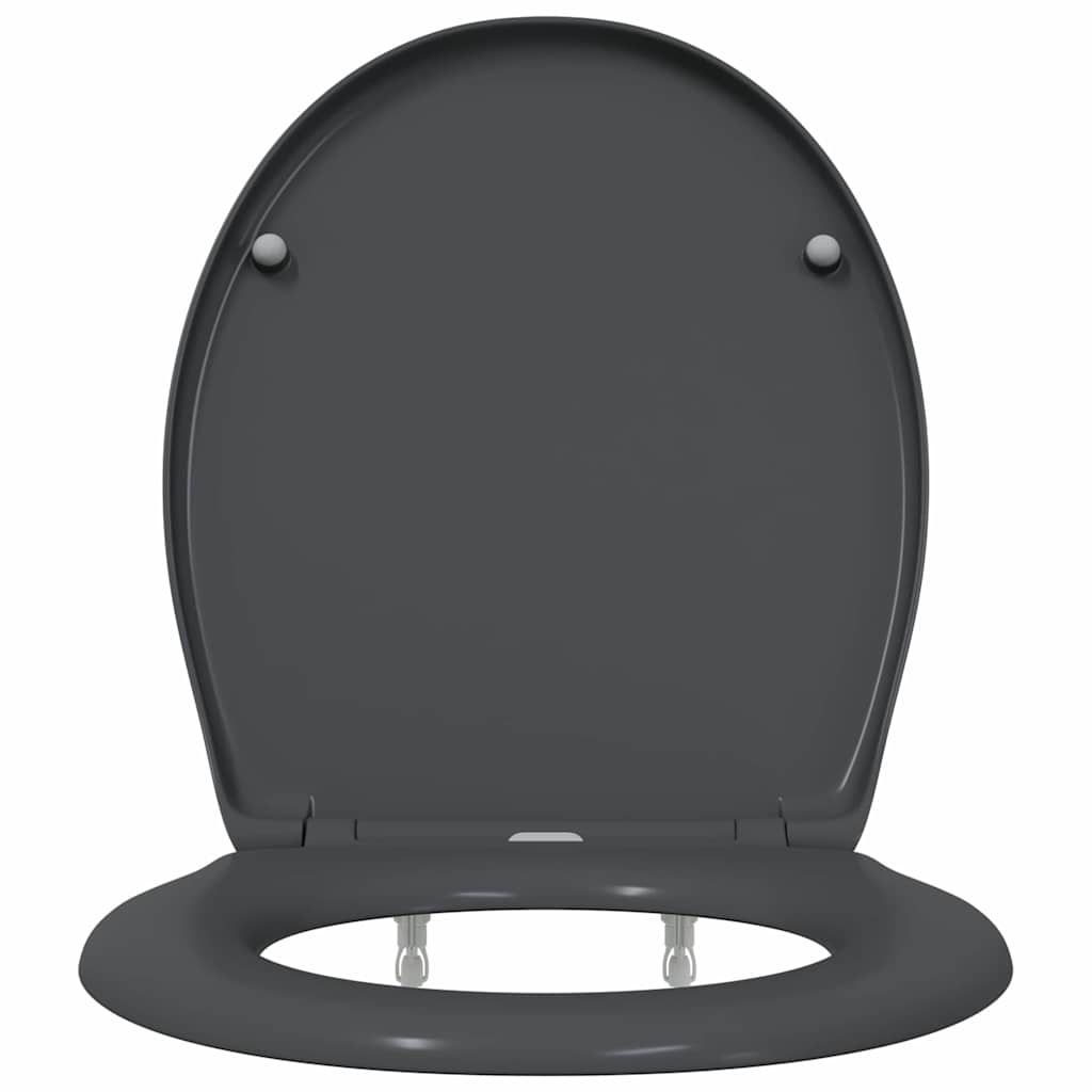 vidaXL Quick Release Toilet suitable for Seat Anthracite