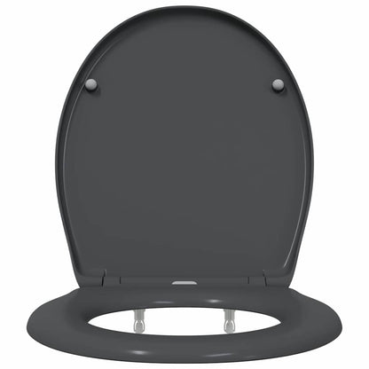 vidaXL Quick Release Toilet suitable for Seat Anthracite