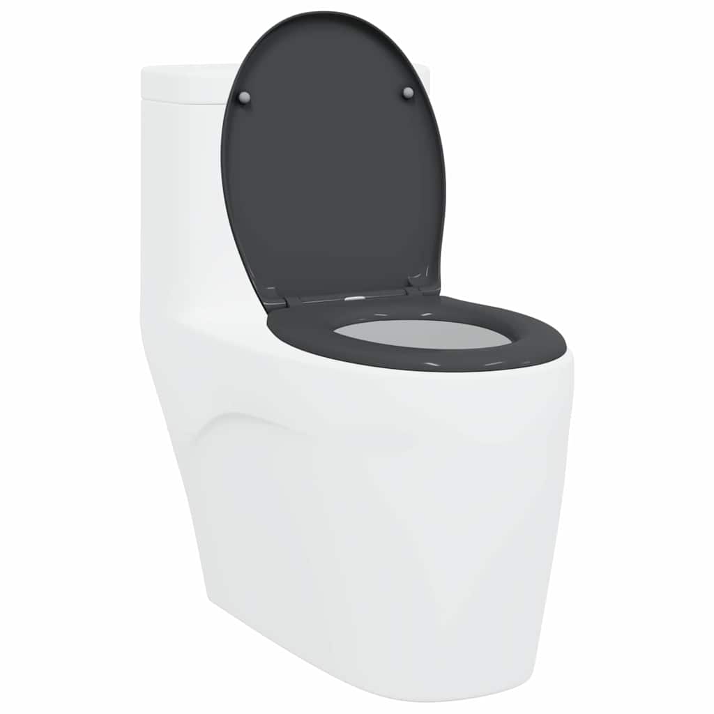 vidaXL Quick Release Toilet suitable for Seat Anthracite