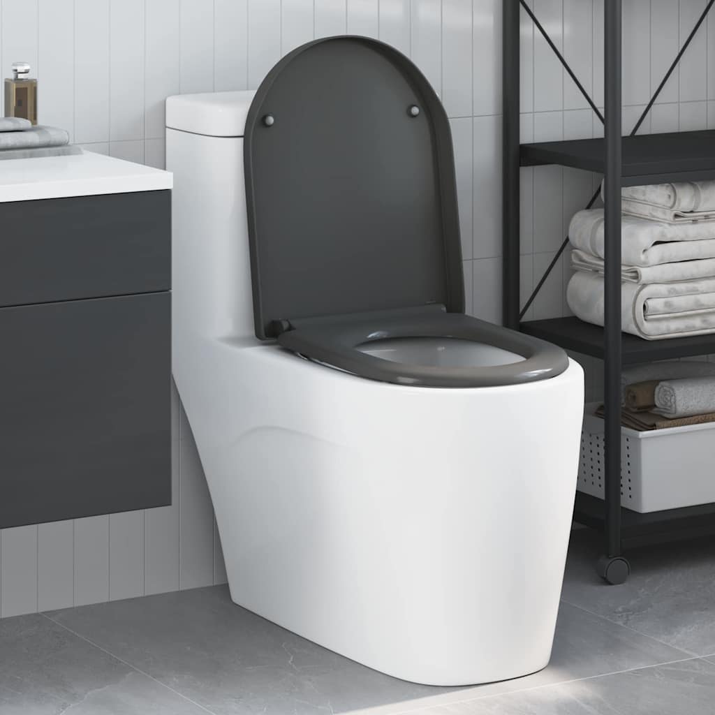 vidaXL Quick Release Toilet suitable for Seat Anthracite