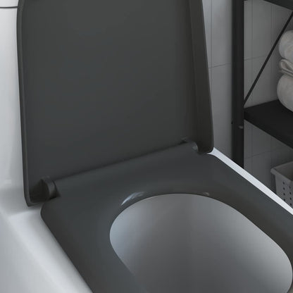 vidaXL Quick Release Toilet suitable for Seat Anthracite