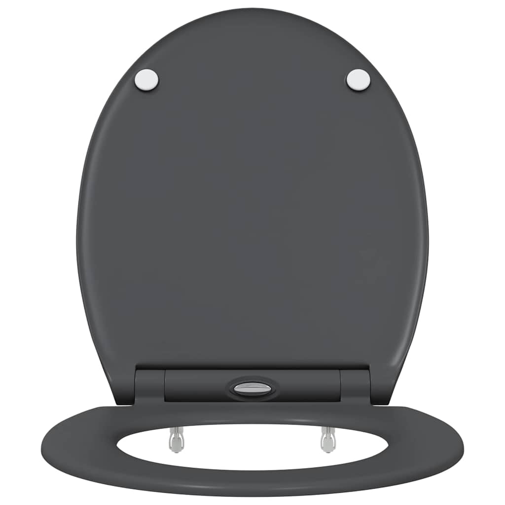 vidaXL Quick Release Toilet suitable for Seat Anthracite