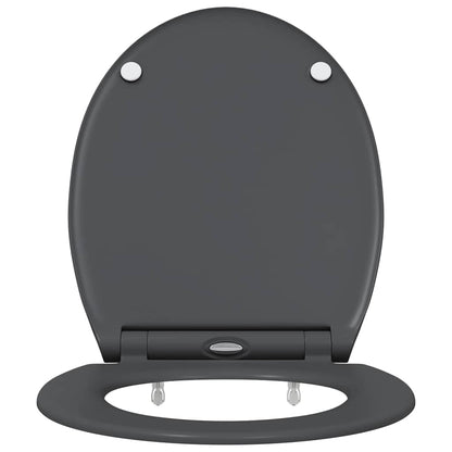 vidaXL Quick Release Toilet suitable for Seat Anthracite