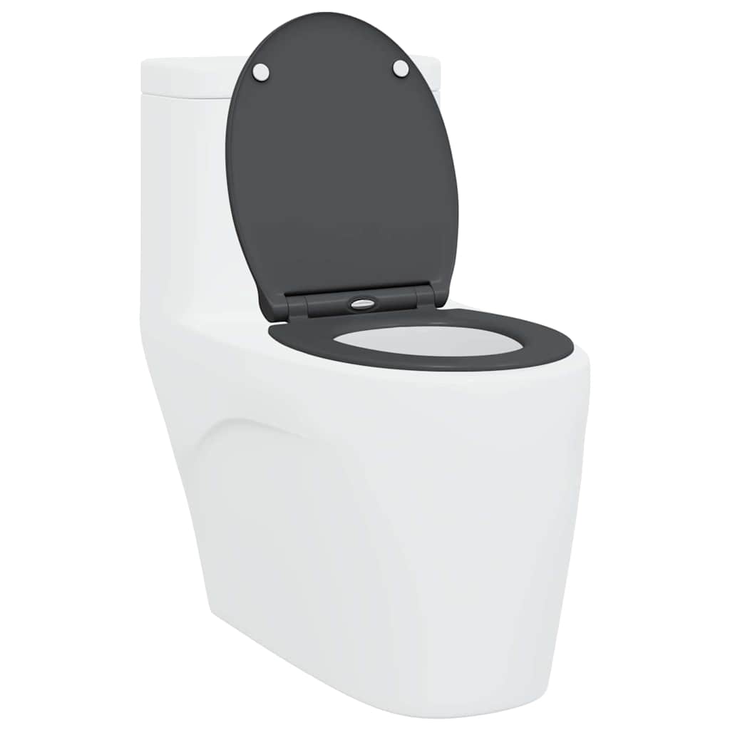 vidaXL Quick Release Toilet suitable for Seat Anthracite