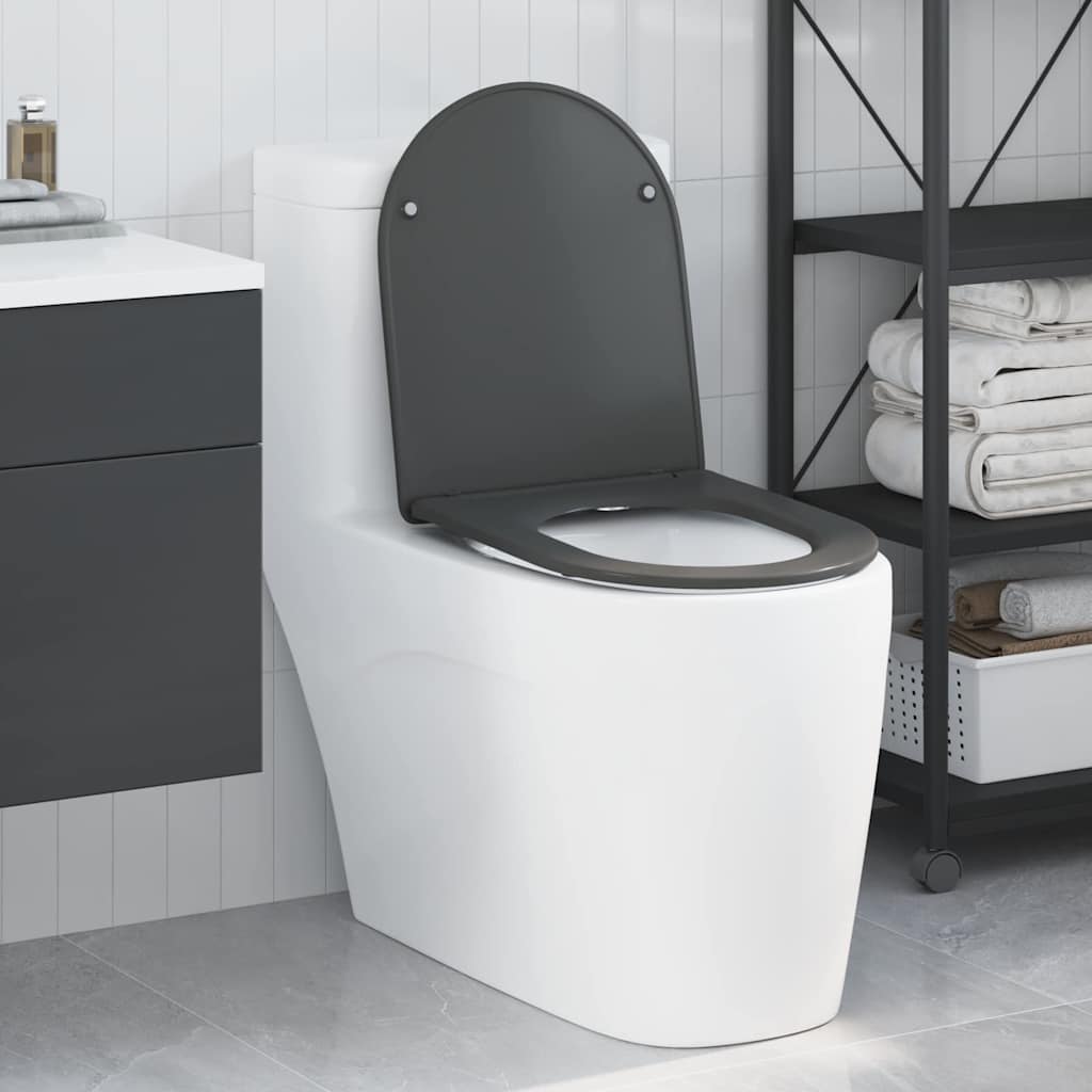 vidaXL Quick Release Toilet suitable for Seat Anthracite