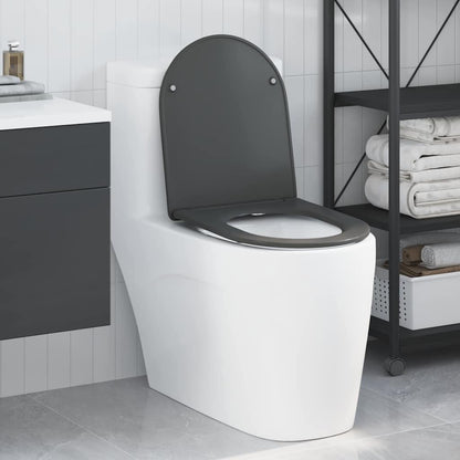 vidaXL Quick Release Toilet suitable for Seat Anthracite