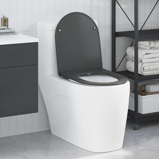 vidaXL Quick Release Toilet suitable for Seat Anthracite