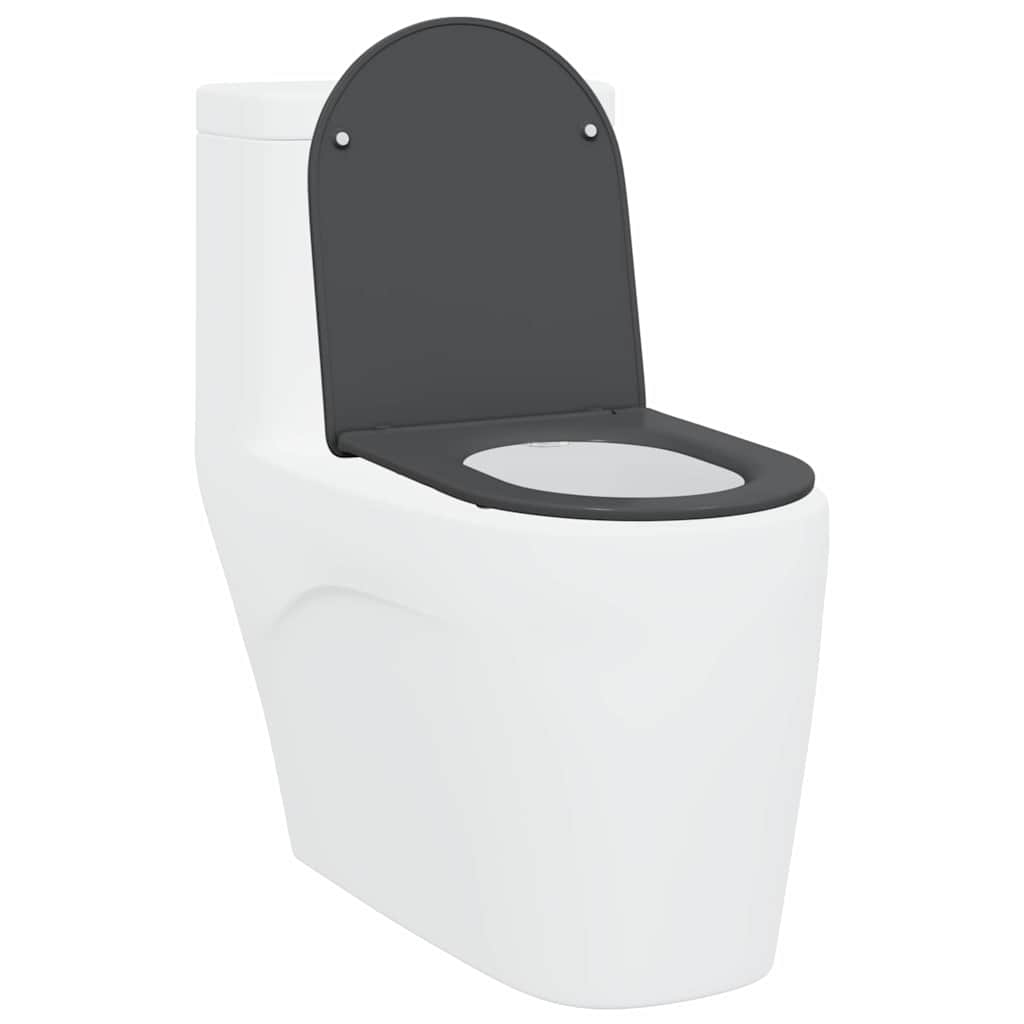 vidaXL Quick Release Toilet suitable for Seat Anthracite
