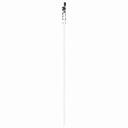 vidaXL Sliding Door White 61 x 198.5 cm Solid Pine Wood and Glass