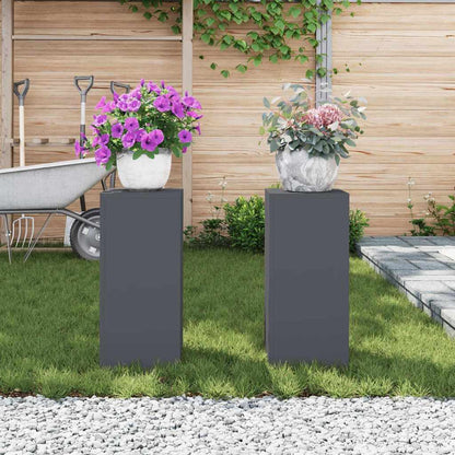 vidaXL Plant Stand 2 pcs Anthracite 24 x 24 x 55 cm Steel