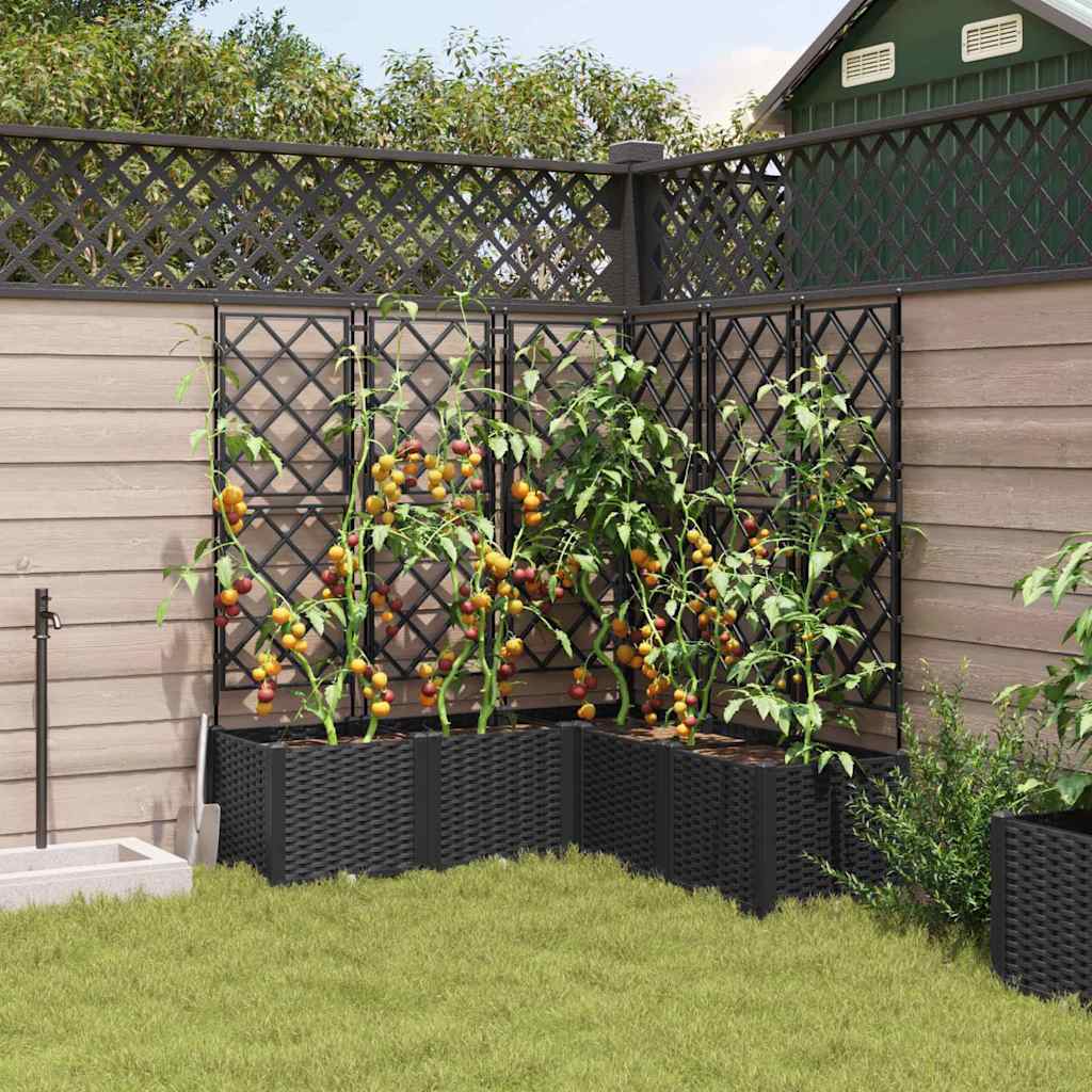 vidaXL Garden Planter 5 pcs Black 120 x 120 x 143 cm PP