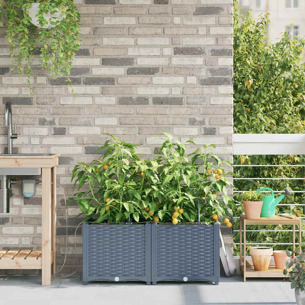 vidaXL Garden Planter 2 pcs LiGht Grey 80 x 40 x 37.5 cm PP