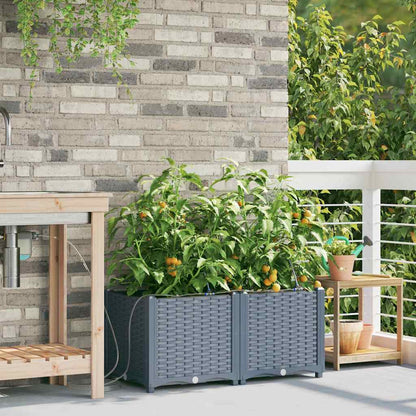 vidaXL Garden Planter 2 pcs LiGht Grey 80 x 40 x 37.5 cm PP