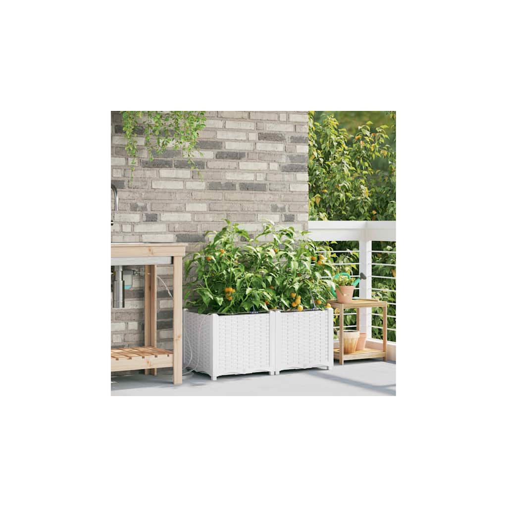 vidaXL Garden Planter 2 pcs White 80 x 40 x 37.5 cm PP
