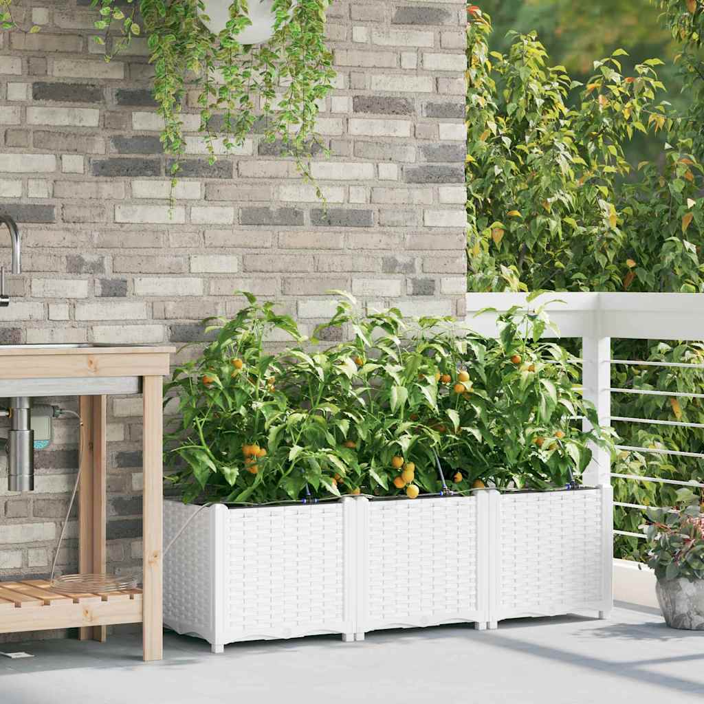 vidaXL Garden Planter 3 pcs White 120 x 40 x 37.5 cm PP