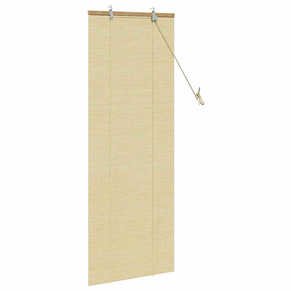vidaXL Roller Blind Nature 60 x 160 cm Bamboo