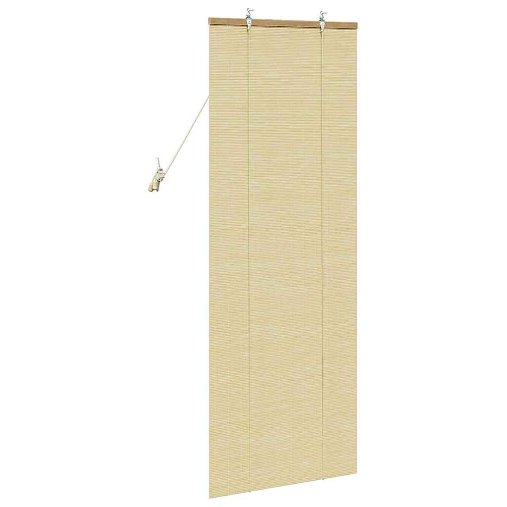 vidaXL Roller Blind Nature 60 x 160 cm Bamboo
