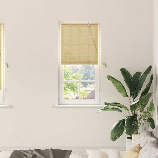 vidaXL Roller Blind Nature 60 x 220 cm Bamboo