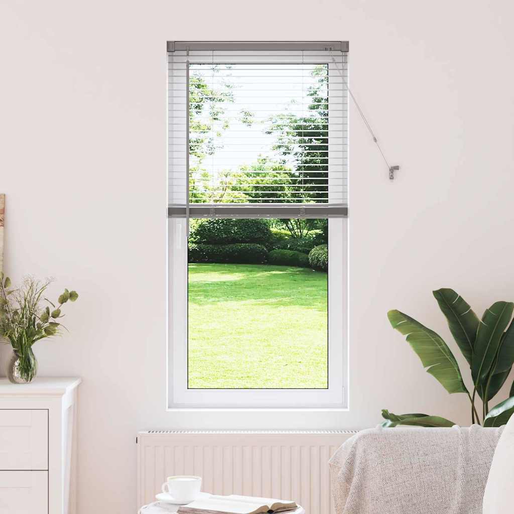 vidaXL Window Blind with Curtains Manual Silver Aluminium