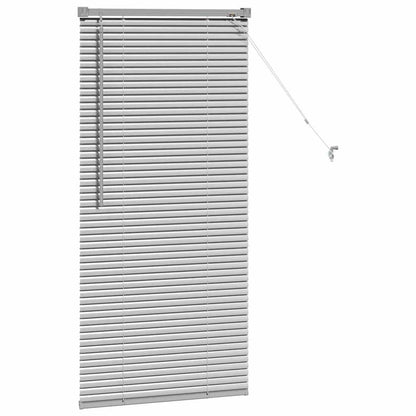 vidaXL Window Blind with Curtains Manual Silver Aluminium