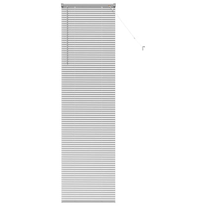 vidaXL Venetian Blinds Height Adjustable Silver 220 x 60 cm Aluminium