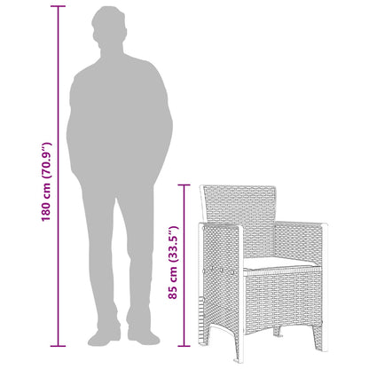 vidaXL Garden Chair 2 pcs Brown Polypropylene