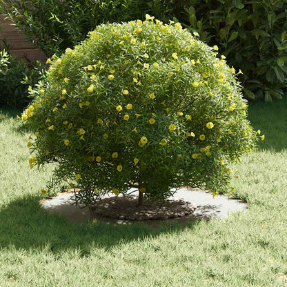 vidaXL suitable for Flat Tree Ring White Ø30 / 60 cm Steel
