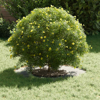 vidaXL suitable for Flat Tree Rings 5 pcs Silver Ø30 / 60 cm