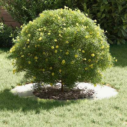 vidaXL suitable for Flat Tree Rings 5 pcs Silver Ø40 / 70 cm