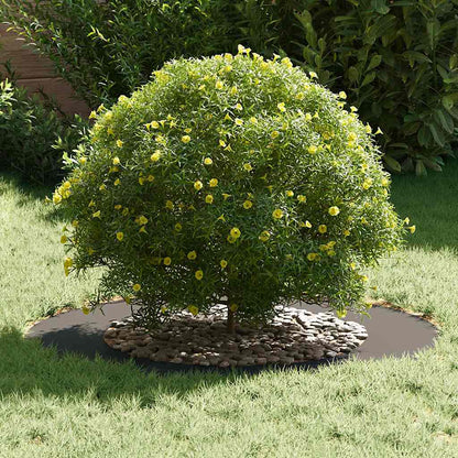 vidaXL suitable for Flat Tree Rings 5 pcs Black Ø50 / 80 cm Steel