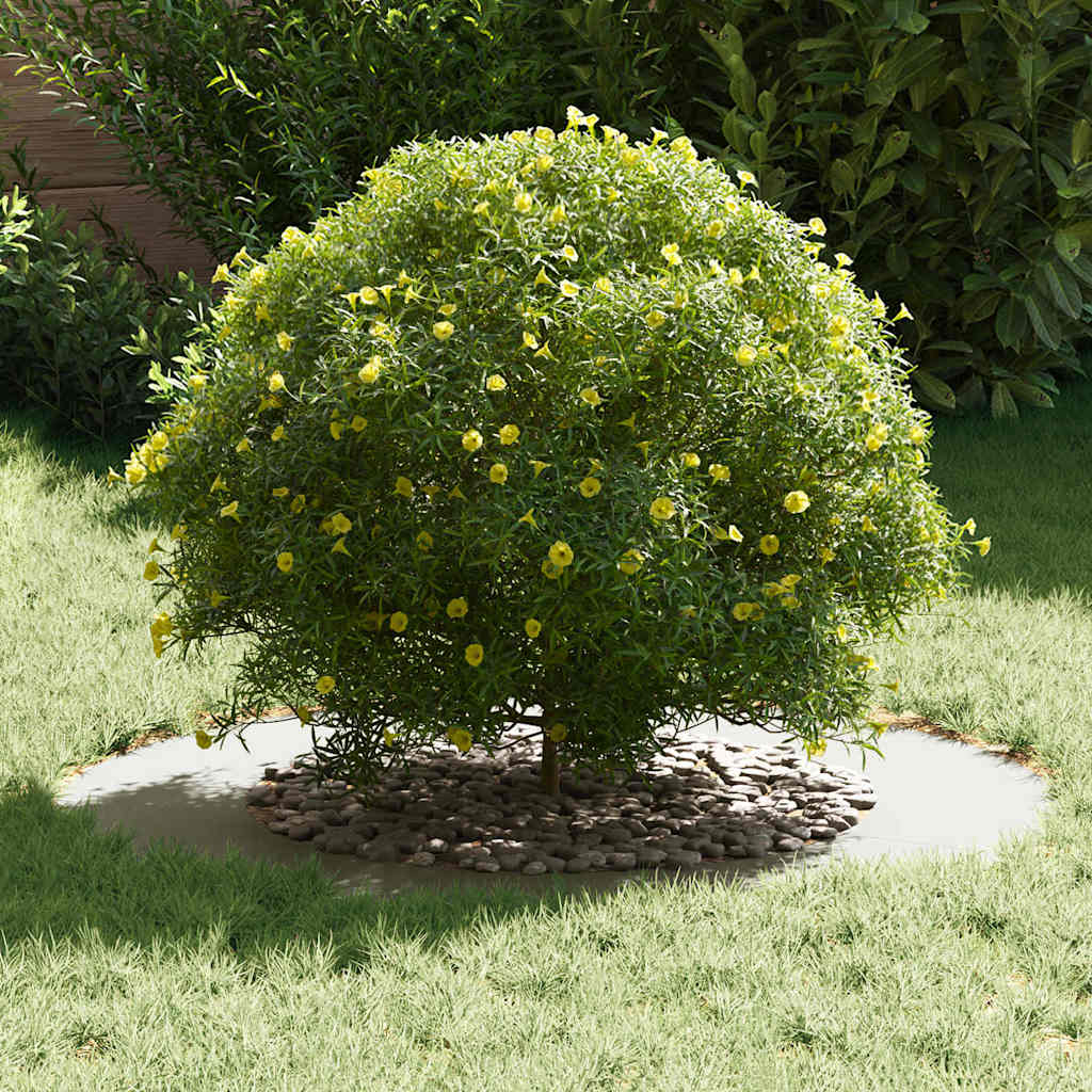 vidaXL suitable for Flat Tree Rings 5 pcs White Ø50 / 80 cm Steel